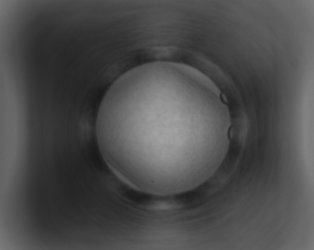 X0000100900510200807081105