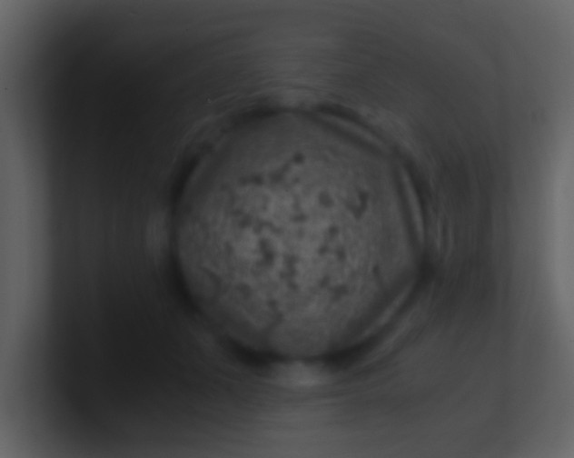 X0000100900511200807081105