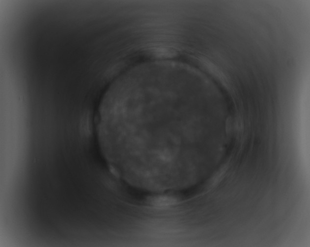 X0000100900512200807081105