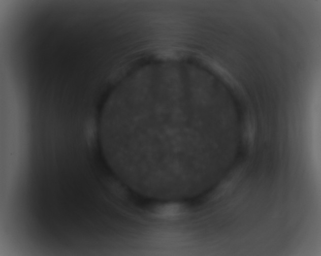 X0000100900513200807081105