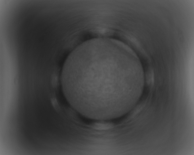 X0000100900515200807081105