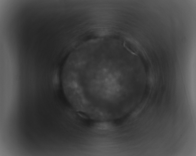 X0000100900516200807081105