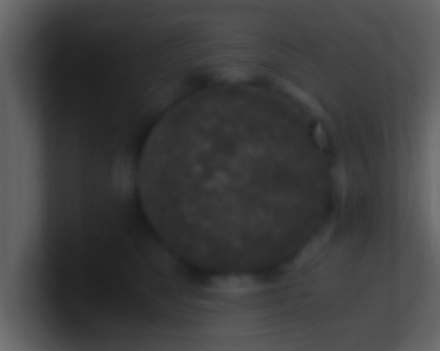 X0000100900517200807081105