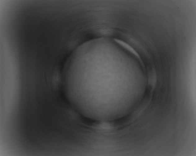 X0000100900518200807081105