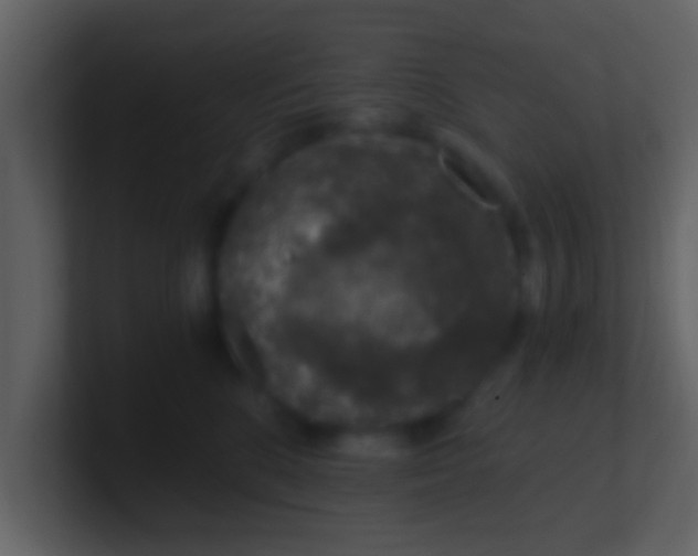 X0000100900520200807081105