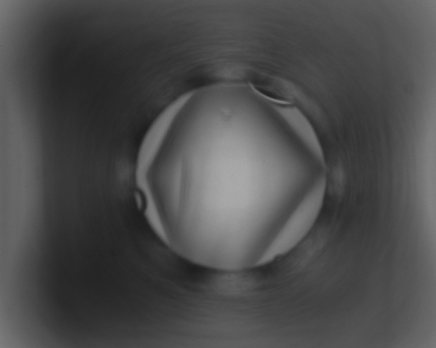 X0000100900521200807081105