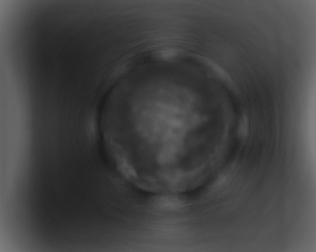 X0000100900524200807081105