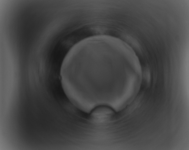 X0000100900526200807081105