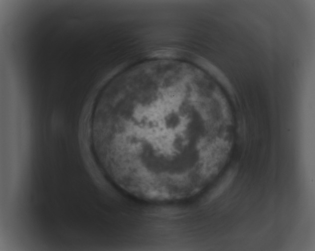 X0000100900529200807081104