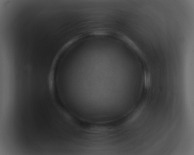 X0000100900531200807081105