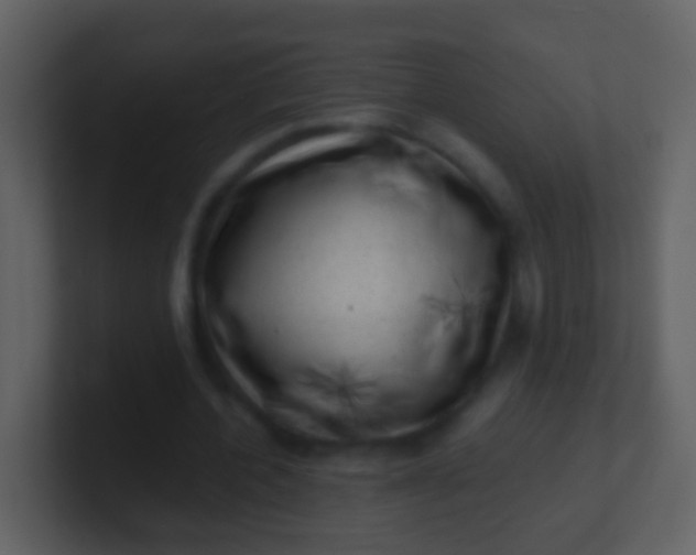 X0000100900532200807081105