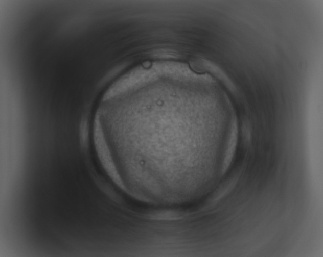 X0000100900533200807081105