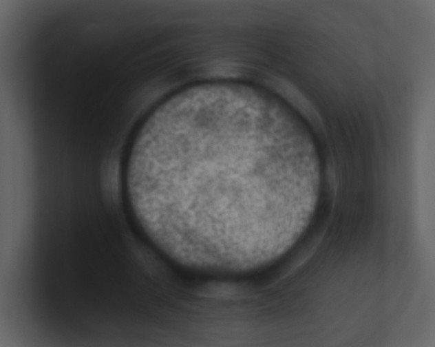 X0000100900534200807081105