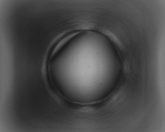 X0000100900536200807081105