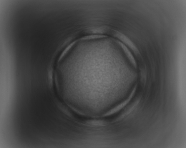 X0000100900537200807081105