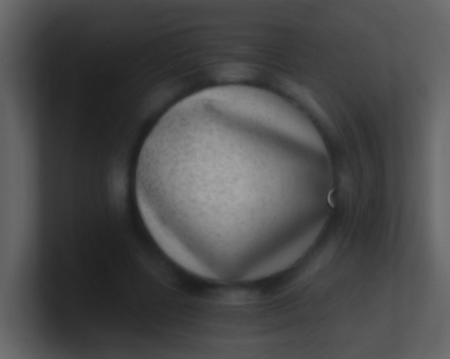 X0000100900539200807081105