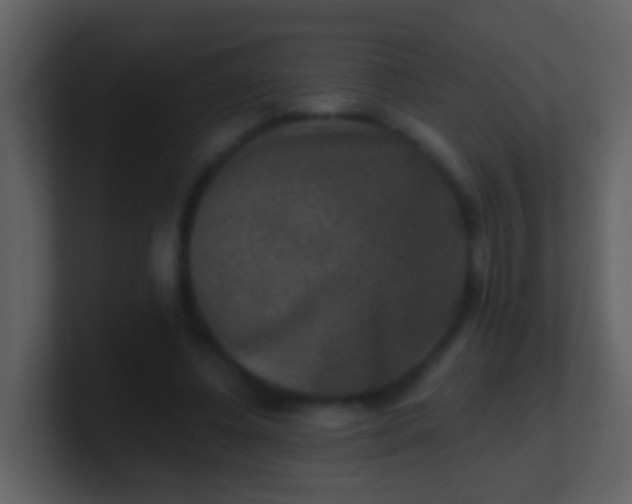 X0000100900540200807081105