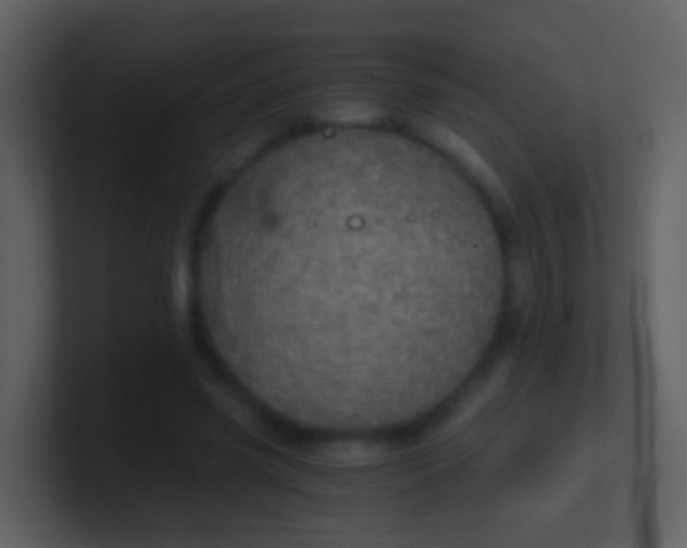 X0000100900541200807081105