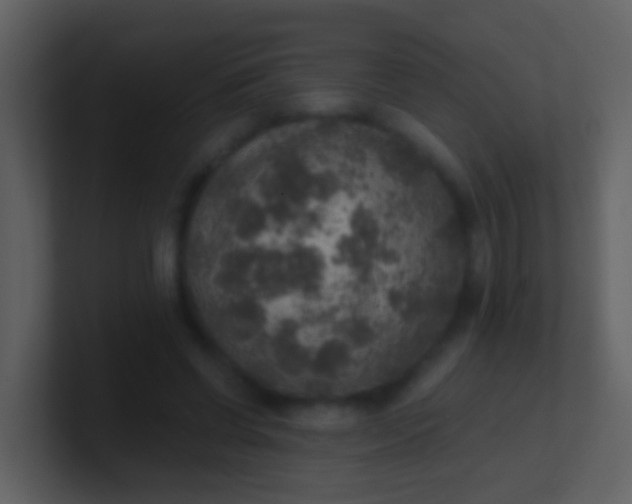 X0000100900542200807081105