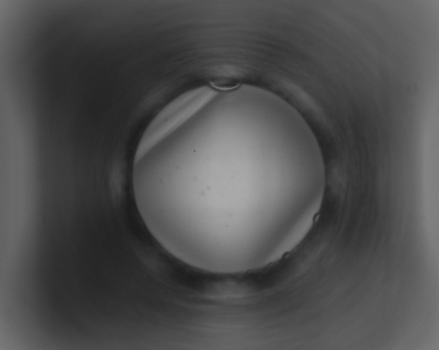 X0000100900544200807081105