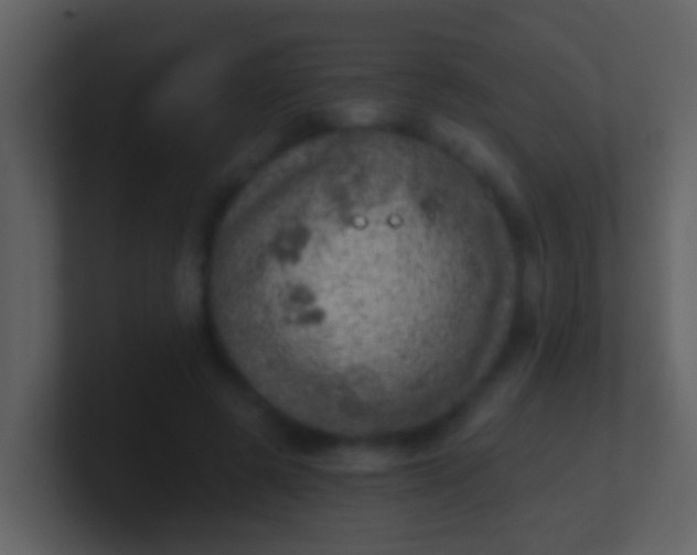 X0000100900545200807081105