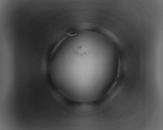 X0000100900546200807081105