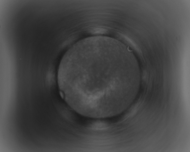 X0000100900547200807081105