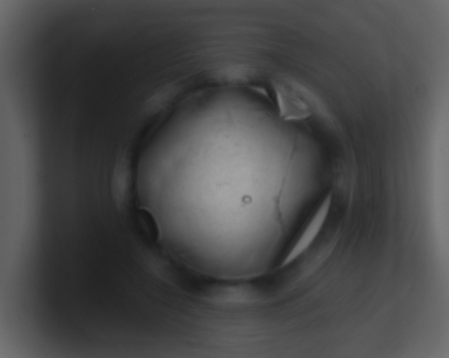 X0000100900548200807081105