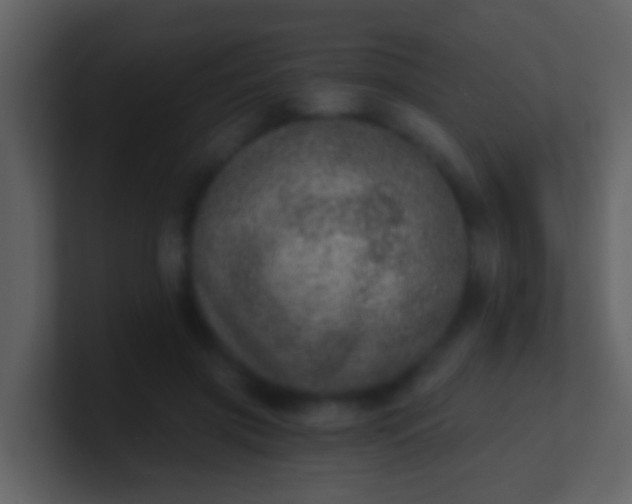 X0000100900549200807081105