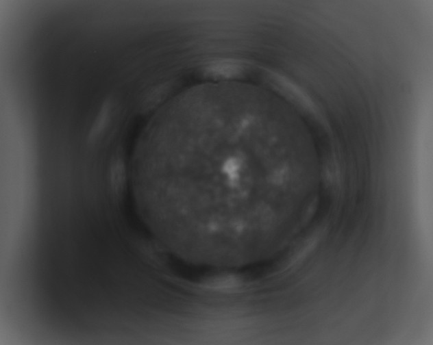 X0000100900551200807081105