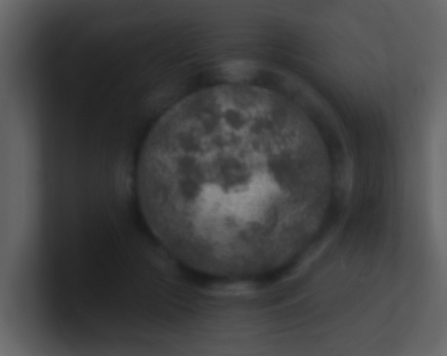 X0000100900553200807081105