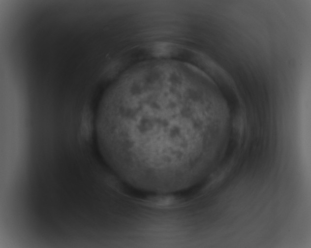 X0000100900554200807081105