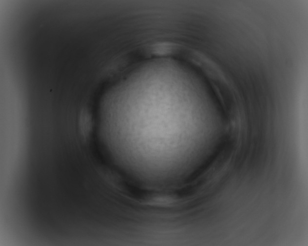 X0000100900555200807081105