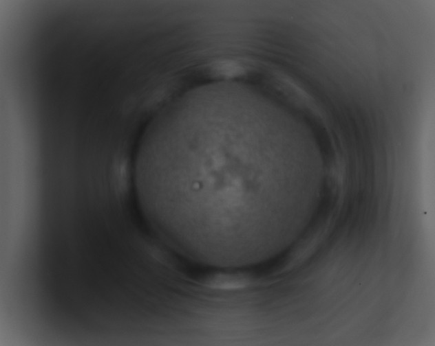 X0000100900556200807081105