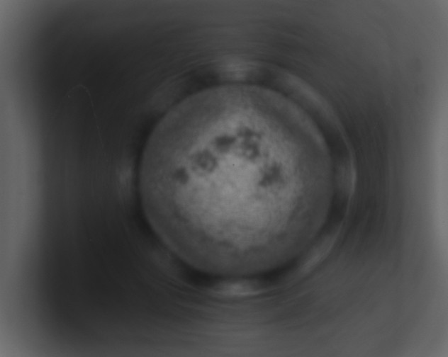 X0000100900557200807081105