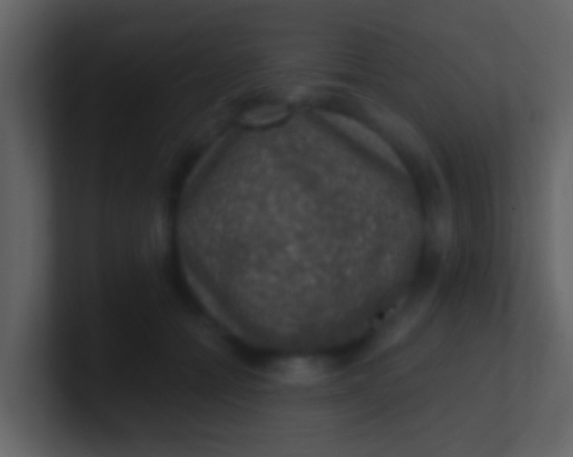 X0000100900558200807081105