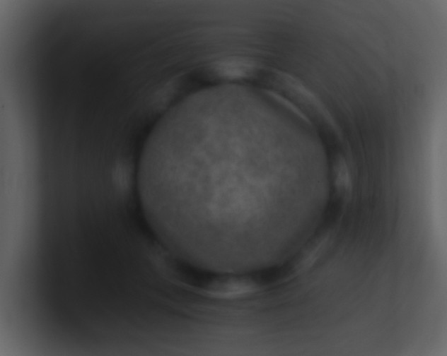 X0000100900559200807081105