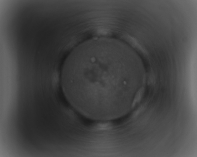 X0000100900560200807081105