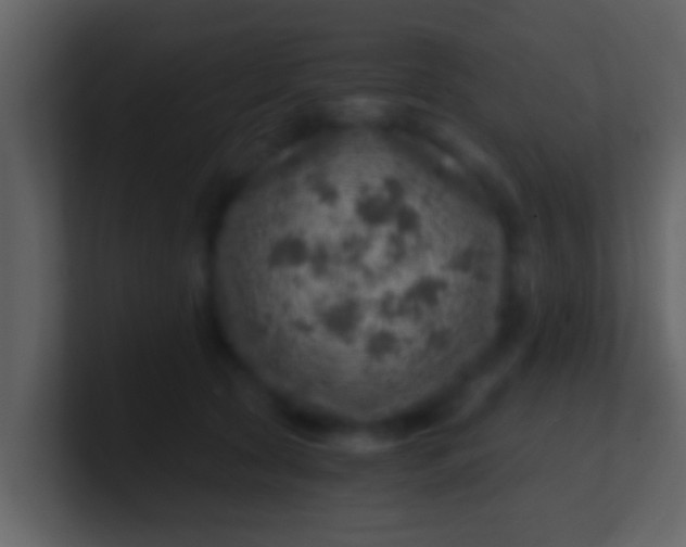 X0000100900561200807081105