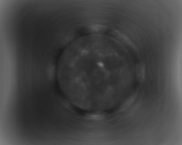 X0000100900563200807081105