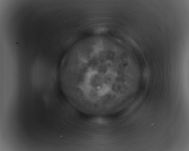 X0000100900565200807081105