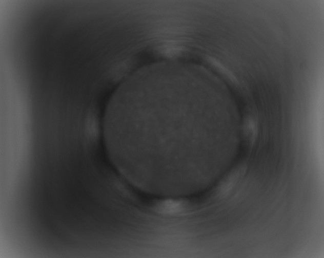 X0000100900566200807081105