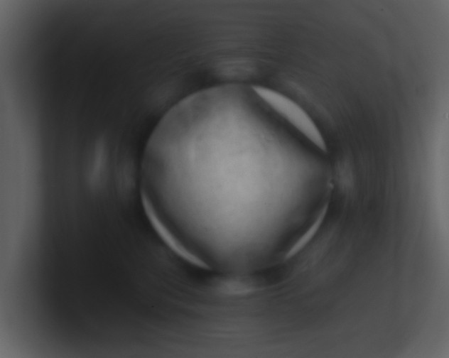 X0000100900567200807081105