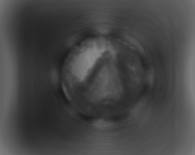 X0000100900568200807081105