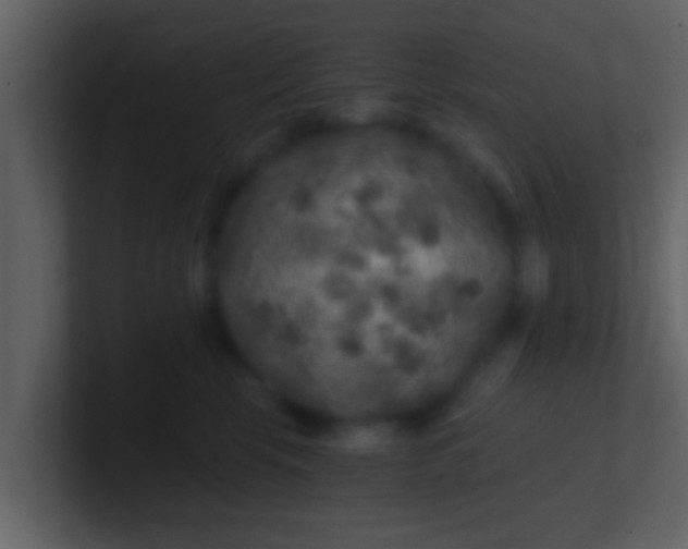 X0000100900569200807081105