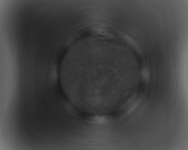 X0000100900570200807081105