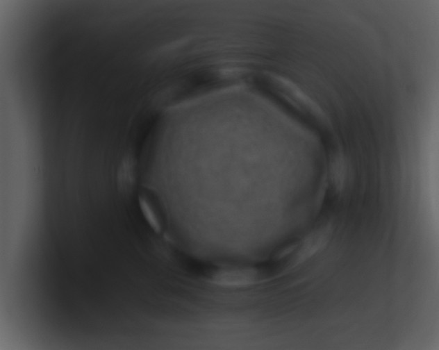 X0000100900571200807081105