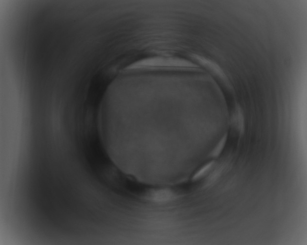 X0000100900572200807081105