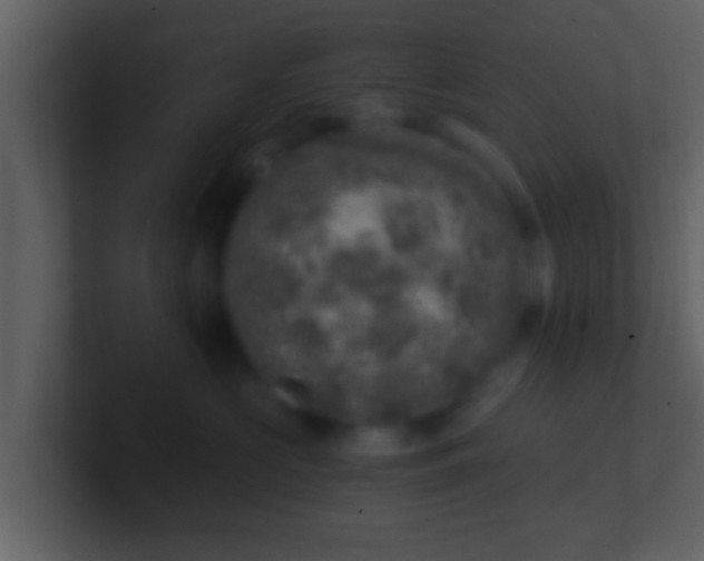 X0000100900573200807081105