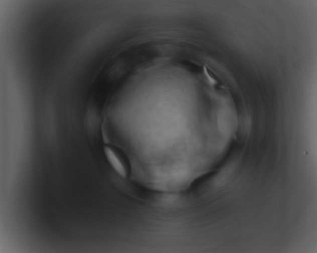 X0000100900574200807081105